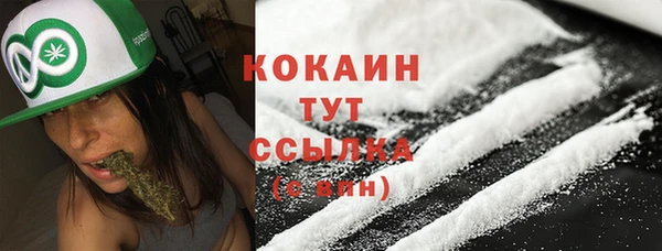 шишки Богородицк