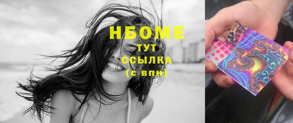 шишки Богородицк