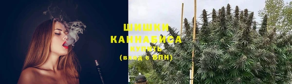 молекула духа Богородск