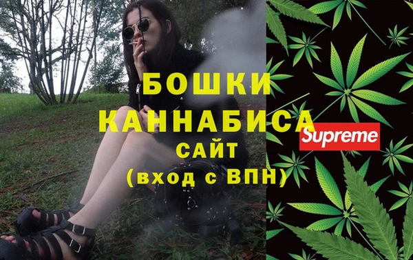 молекула духа Богородск