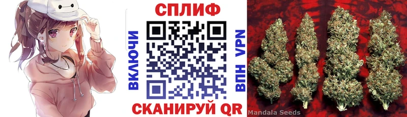 где продают   Белоярский  Каннабис MAZAR 